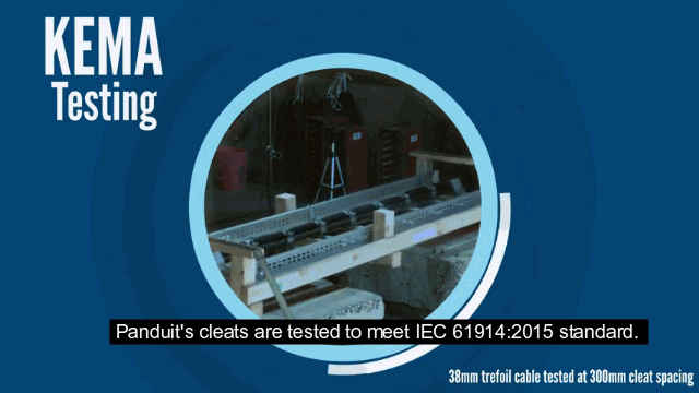 Panduit cable cleat