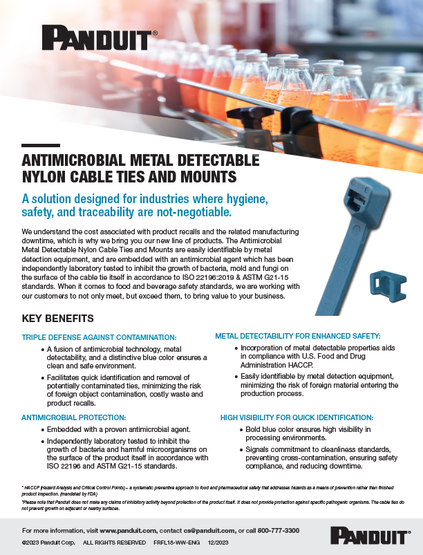 AMMD Flyer